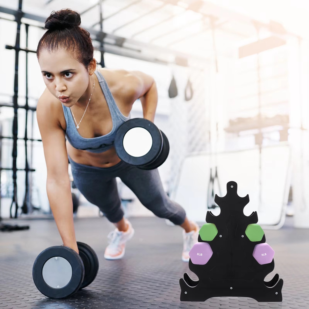 Budget-Friendly Dumbbell Rack  - Home Gym Budget review and price