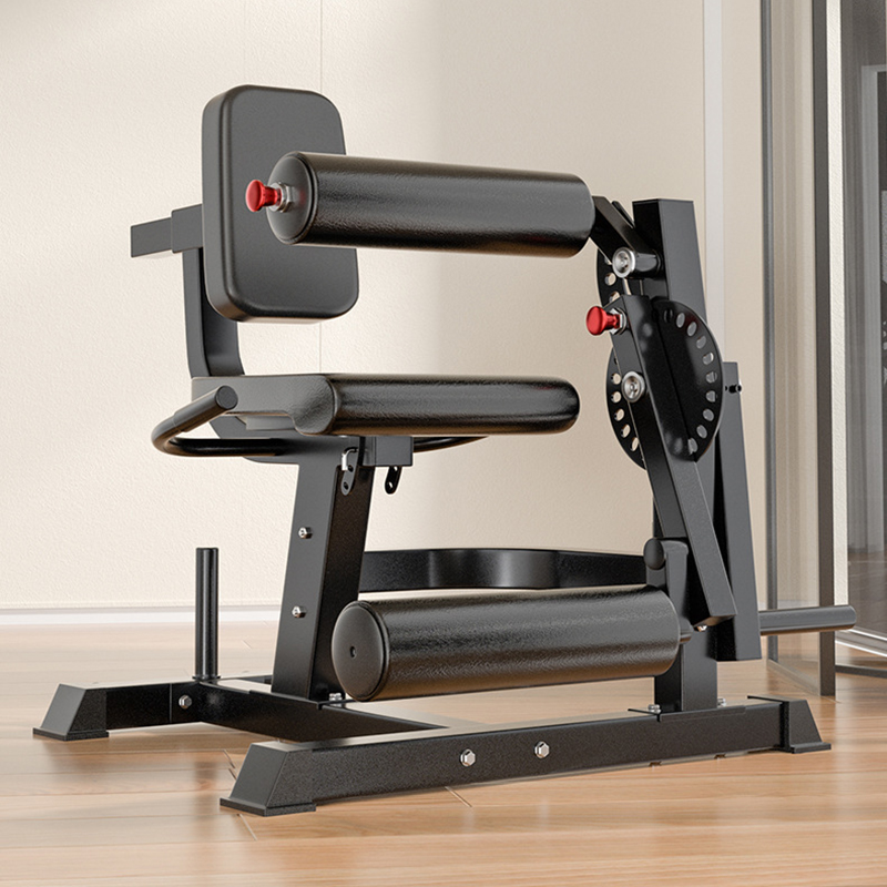 Adjustable 6 Position Workout  - Home Gym Leg Extension review and price