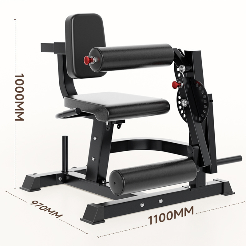 Adjustable 6 Position Workout  - Home Gym Leg Extension review and price