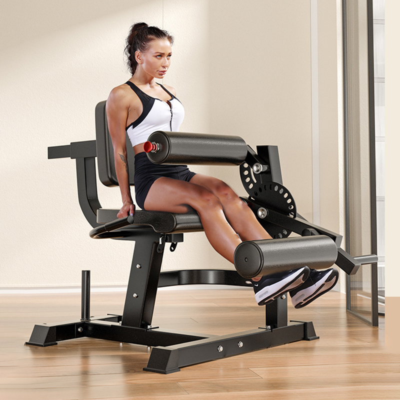 Adjustable 6 Position Workout  - Home Gym Leg Extension review and price