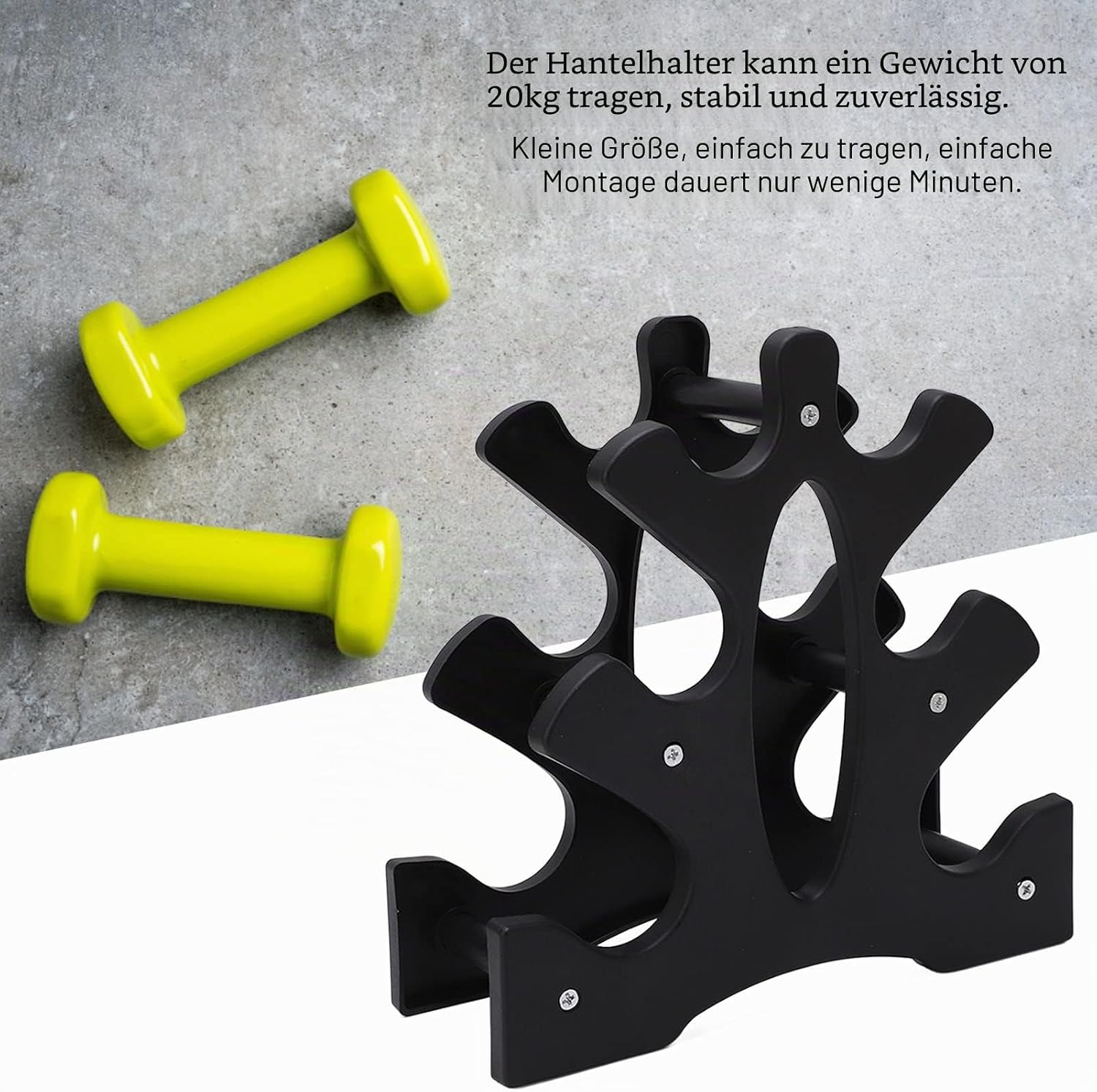 1pc Portable Dumbbell Storage  - Home Gym For Small Spaces review and price