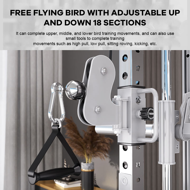 YTYIN Factory Supplier Home Gy - Home Gym Leg Machine review and price