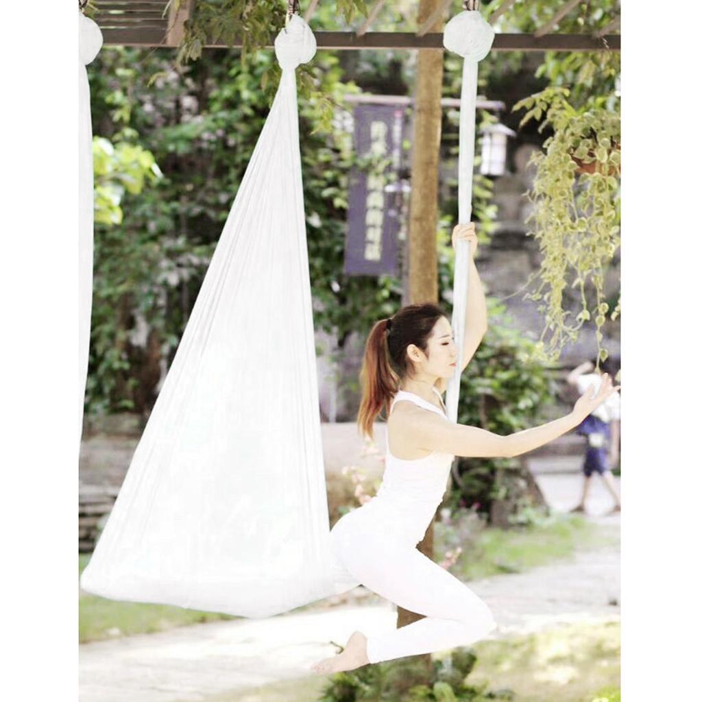 Nylon Aerial Yoga Hammock Dura - Yoga Trapeze Swing review and price