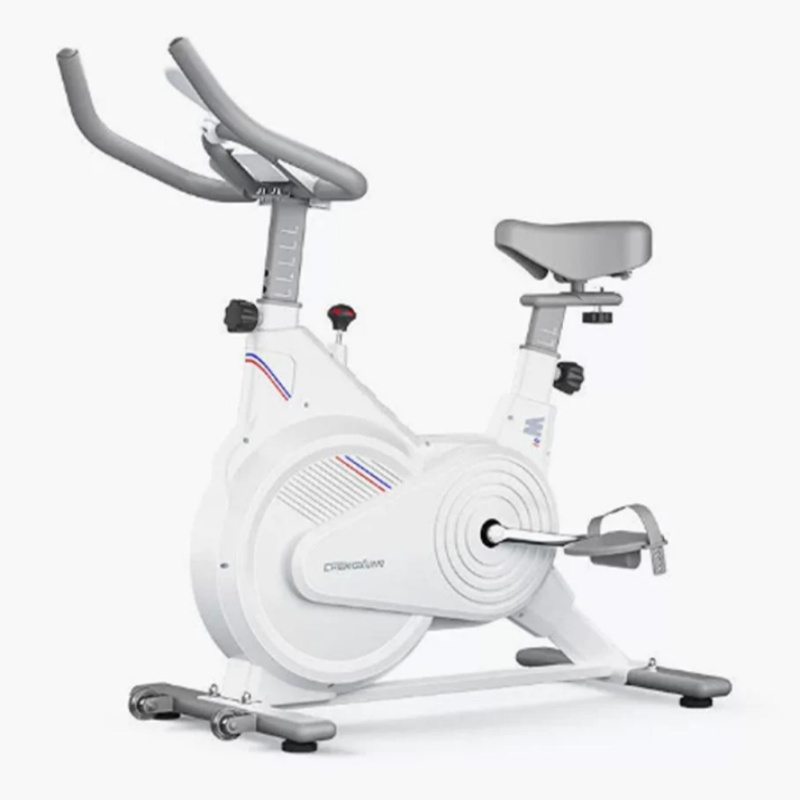 Indoor Stationary Spin Bike, S - Home Gym Rig review and price