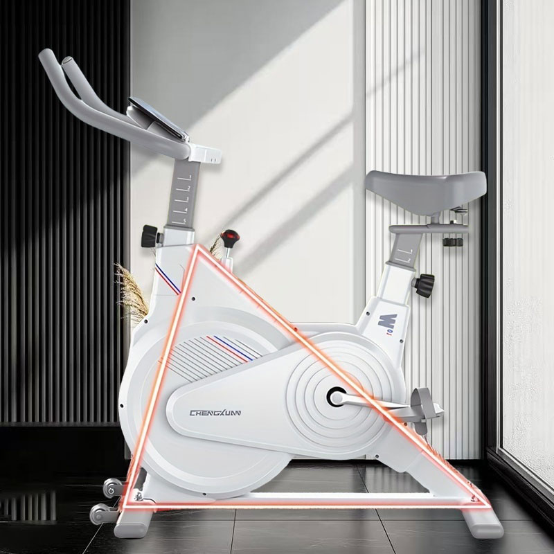 Indoor Stationary Spin Bike, S - Home Gym Rig review and price