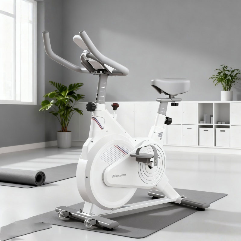 Indoor Stationary Spin Bike, S - Home Gym Rig review and price