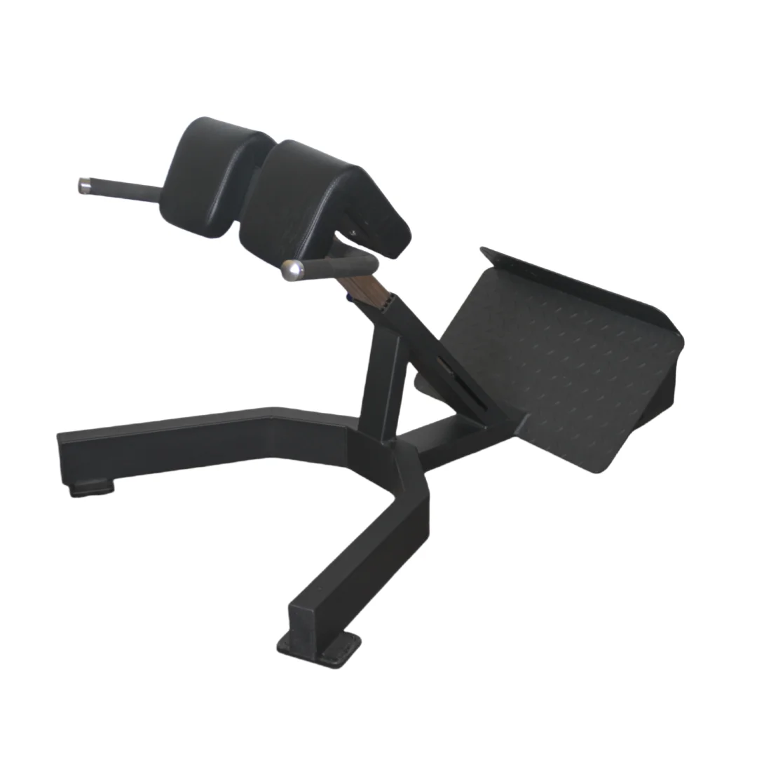 Factory Price Roman Chair Back - Home Gym Leg Extension review and price