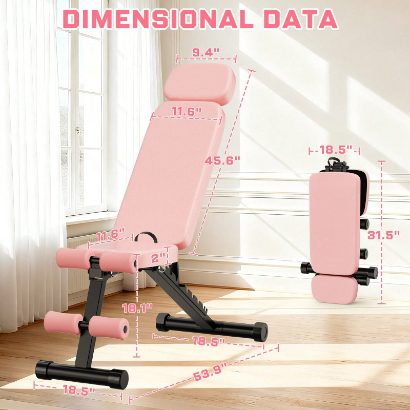 9 Position Adjustable Weight B - Home Gym Weight review and price